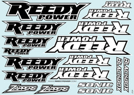 Team Associated - Reedy 2020 Decal Sheet - Hobby Recreation Products