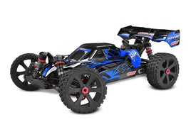 Corally - Asuga XLR 6S RTR Racing Buggy - Blue, Large Scale - Hobby Recreation Products