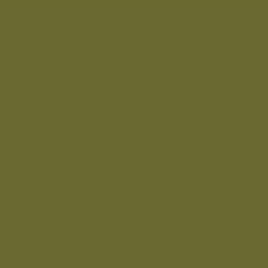 Mission Models - Acrylic Model Paint 1 oz Bottle, US Army Olive Drab FS 34088 - Hobby Recreation Products