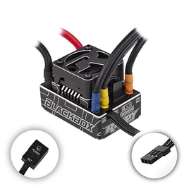 ASC27043-Blackbox-880r-Competition-1:8