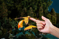 Make Bug - Actias Moth 3D Puzzle, Bring Nature Home - Hobby Recreation Products