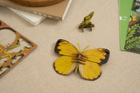 Make Bug - Common Grass Yellow Butterfly 3D Puzzle, Bring Nature Home - Hobby Recreation Products