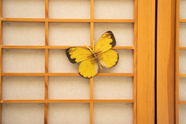 Make Bug - Common Grass Yellow Butterfly 3D Puzzle, Bring Nature Home - Hobby Recreation Products