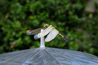 Make Bug - Dragonfly 3D Puzzle, Bring Nature Home - Hobby Recreation Products