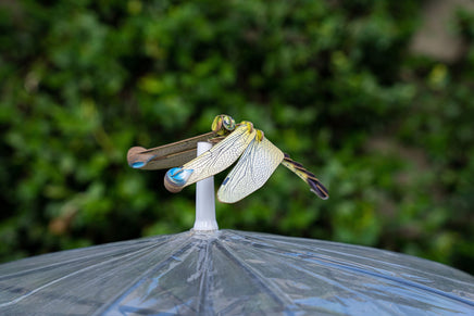 Make Bug - Dragonfly 3D Puzzle, Bring Nature Home - Hobby Recreation Products