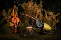 Make Bug - Hercules Beetle 3D Puzzle, Bring Nature Home - Hobby Recreation Products