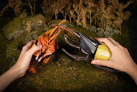 Make Bug - Hercules Beetle 3D Puzzle, Bring Nature Home - Hobby Recreation Products