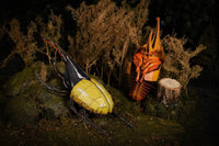 Make Bug - Hercules Beetle 3D Puzzle, Bring Nature Home - Hobby Recreation Products
