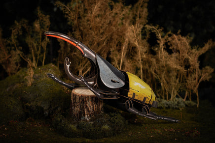 Make Bug - Hercules Beetle 3D Puzzle, Bring Nature Home - Hobby Recreation Products