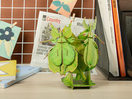 Make Bug - Leaf Insect 3D Puzzle, Bring Nature Home - Hobby Recreation Products
