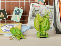 Make Bug - Leaf Insect 3D Puzzle, Bring Nature Home - Hobby Recreation Products