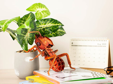 Make Bug - Leafcutting Ant 3D Puzzle, Bring Nature Home - Hobby Recreation Products
