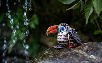 Make Bug - MakeBug Voices of Nature, Red - Billed Toucan - Hobby Recreation Products