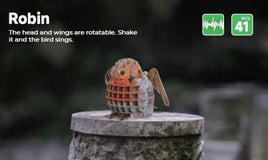 Make Bug - MakeBug Voices of Nature, Robin - Hobby Recreation Products