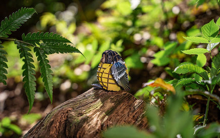 Make Bug - MakeBug Voices of Nature, Yellow - Bellied Titmouse - Hobby Recreation Products