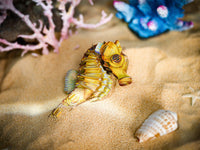Make Bug - Seahorse 3D Kraft Paper Puzzle - Hobby Recreation Products