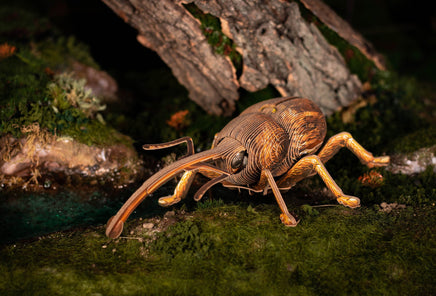 Make Bug - Weevil 3D Puzzle, Bring Nature Home - Hobby Recreation Products