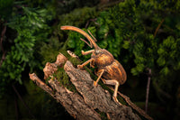 Make Bug - Weevil 3D Puzzle, Bring Nature Home - Hobby Recreation Products