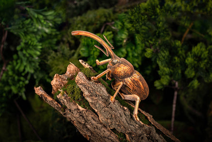Make Bug - Weevil 3D Puzzle, Bring Nature Home - Hobby Recreation Products
