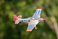Rage R/C - P - 51D Mustang 500mm Brushless RFT (Ready - for - Transmitter) Warbird with PASS System - Hobby Recreation Products