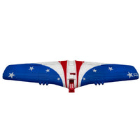Rage R/C - Main Wing and Tail; P-51 Miss America
