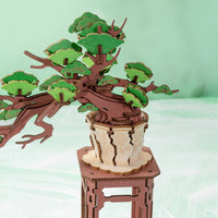 Robotime - Evergreen Pine Bonsai DIY Wooden 3D Puzzle - Hobby Recreation Products