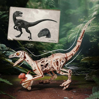Robotime - Velociraptor Mechanical 3D Wooden Puzzle