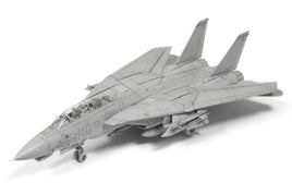 TAM60795-1-72-Grumman-F-14d-Tomcat