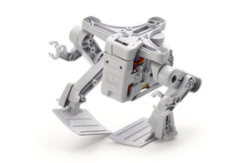 TAM70256-Bipedal-Walking-Robot