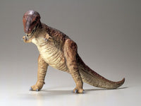Tamiya - Tyrannosaurus Rex - Hobby Recreation Products