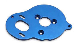 Team Associated - Motor Plate (Blue), B5 - Hobby Recreation Products