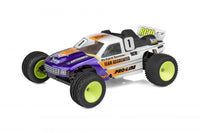 Team Associated - RC10GT Richard Saxton Edition - Hobby Recreation Products