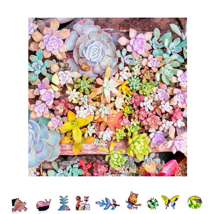 succulent plants puzzle Garden Succulents Puzzle, 500 Pcs| Hobby Recreation Products