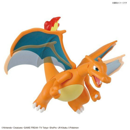 Bandai - Pokemon Model Kit Charizard & Dragonite "Pokemon", Bandai Spirits - Hobby Recreation Products