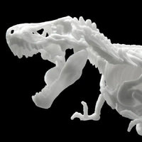 Bandai - Tyrannosaurus , Bandai Spirits Hobby Dinosaur Model Kit Limex Skeleton - Hobby Recreation Products