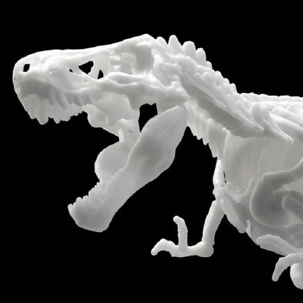 Bandai - Tyrannosaurus , Bandai Spirits Hobby Dinosaur Model Kit Limex Skeleton - Hobby Recreation Products