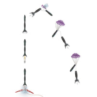 Estes Rockets - Space Corps Vesta Intruder, Rocket Kit, Advanced - Hobby Recreation Products