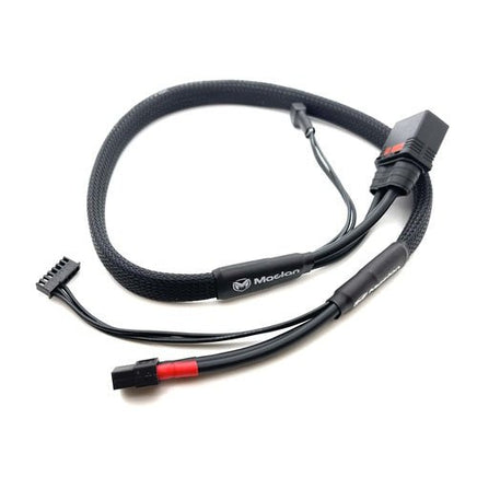 Maclan Racing - Maclan Max Current 2S (QS8 Battery) Charge Cable - Hobby Recreation Products