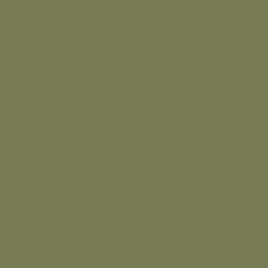 Mission Models - Acrylic Model Paint 1 oz Bottle, Olive Drab Faded 1, FS 34088 - Hobby Recreation Products