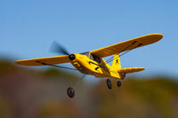 Rage R/C - Micro Sport Cub 400 3-Channel RTF Airplane with PASS System - Hobby Recreation Products