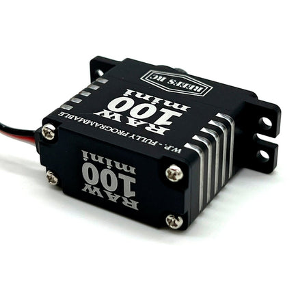Reef's RC - RAW 100 Mini Black Servo Programmable - Hobby Recreation Products